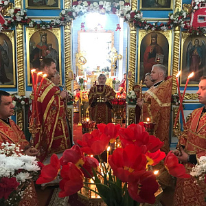 В Ельске почтили память Васьковской-Ельской иконы Божией Матери